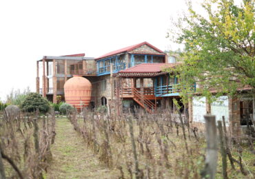 კახეთში კულტურულ-შემეცნებითი ტური გაიმართა