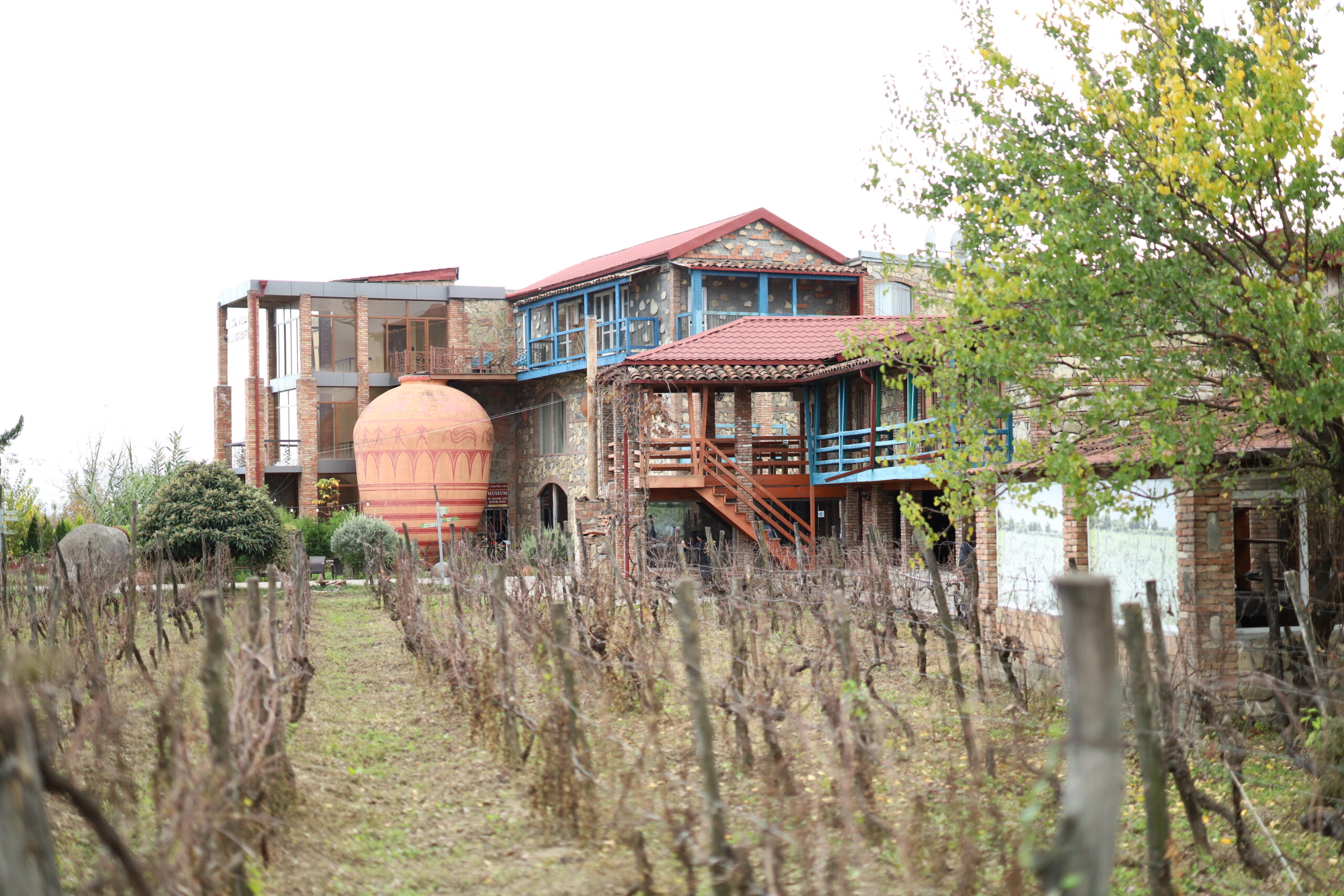 კახეთში კულტურულ-შემეცნებითი ტური გაიმართა